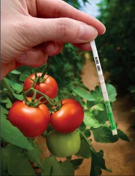 A collection of Agdia ImmunoStrip tests